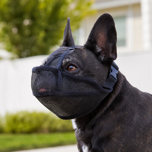 Short-Snout Mesh Dog Muzzle – Drink-Friendly Comfort