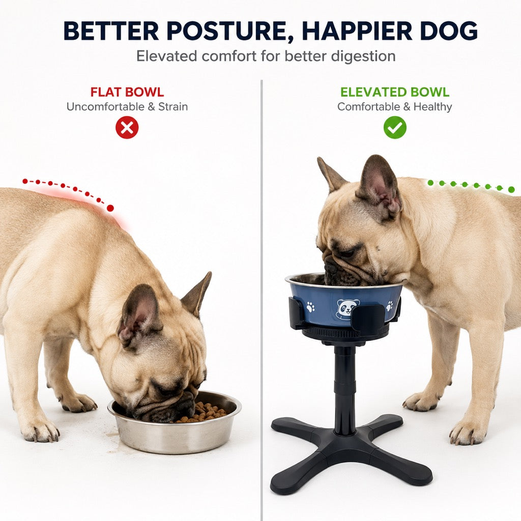 Tilted Elevated Dog Bowl – Less Neck Strain, Slow Feeding