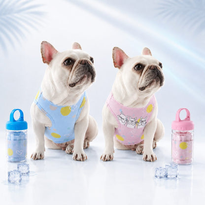 Frenchie Cooling Vest – Cooler Hot Summer Walks