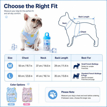 Frenchie Cooling Vest – Cooler Hot Summer Walks