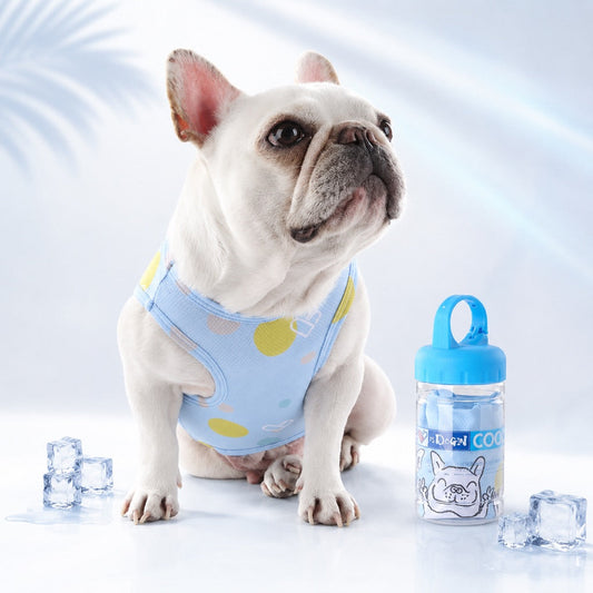 Frenchie Cooling Vest – Cooler Hot Summer Walks