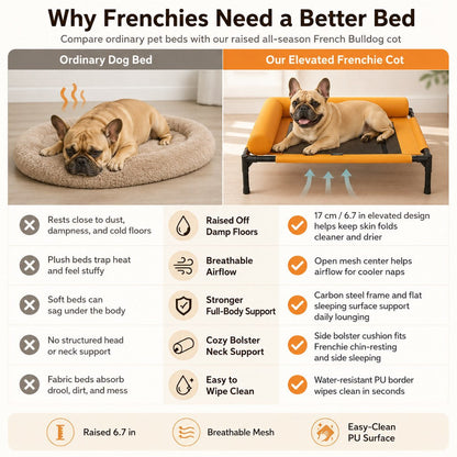 Elevated Dog Cot with Bolsters – Cooler, Breathable Naps