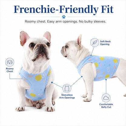 Frenchie Cooling Vest – Cooler Hot Summer Walks