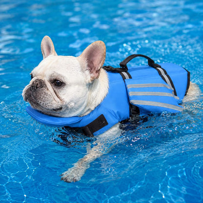 Frenchie Dog Life Jacket – Chin Float for Safe Swims