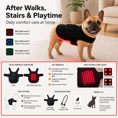 Red Light Comfort Vest – Back & Hip Relief for Frenchies