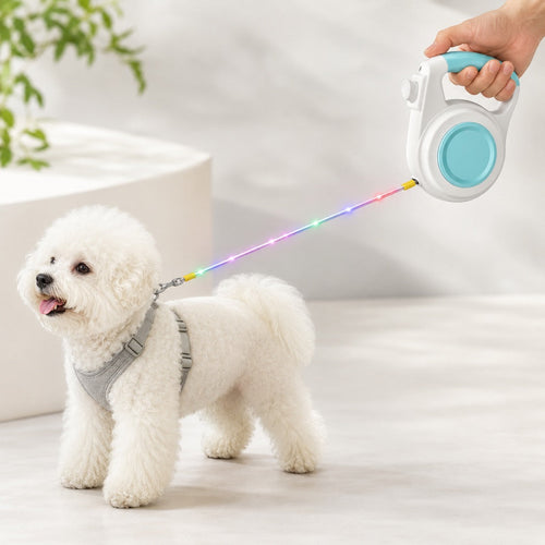 Light-Up Retractable Dog Leash – Rechargeable & Visible