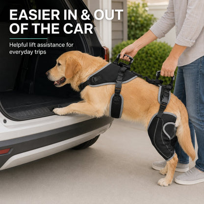 Full-Body Lift Harness – Dual Rear-Leg Support