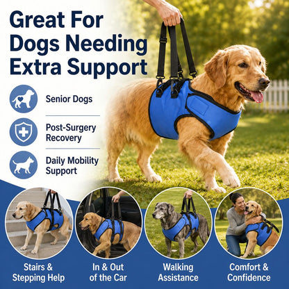 Front Leg Dog Support Harness – Lift Aid for Stairs