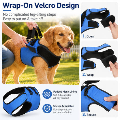 Front Leg Dog Support Harness – Lift Aid for Stairs