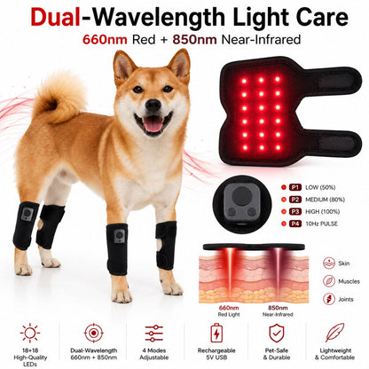 Red Light Dog Knee Wrap – Senior Joint Comfort