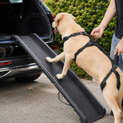 Full-Body Dog Lift Harness – Weak Hind Leg Support