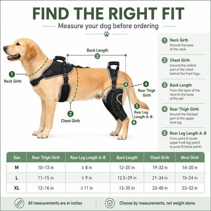 Full-Body Lift Harness – Dual Rear-Leg Support