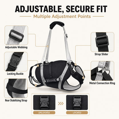 Full-Body Lift Harness for Large Dogs – Easier Standing