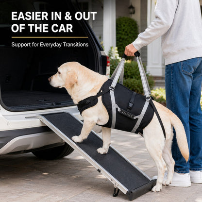 Full-Body Lift Harness for Large Dogs – Easier Standing