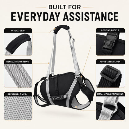 Full-Body Lift Harness for Large Dogs – Easier Standing