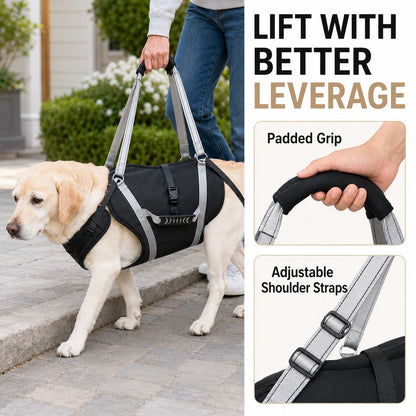 Full-Body Lift Harness for Large Dogs – Easier Standing