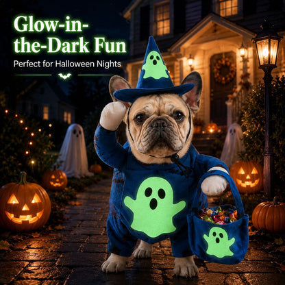 Glow Ghost Wizard Dog Costume – Hat & Treat Bag