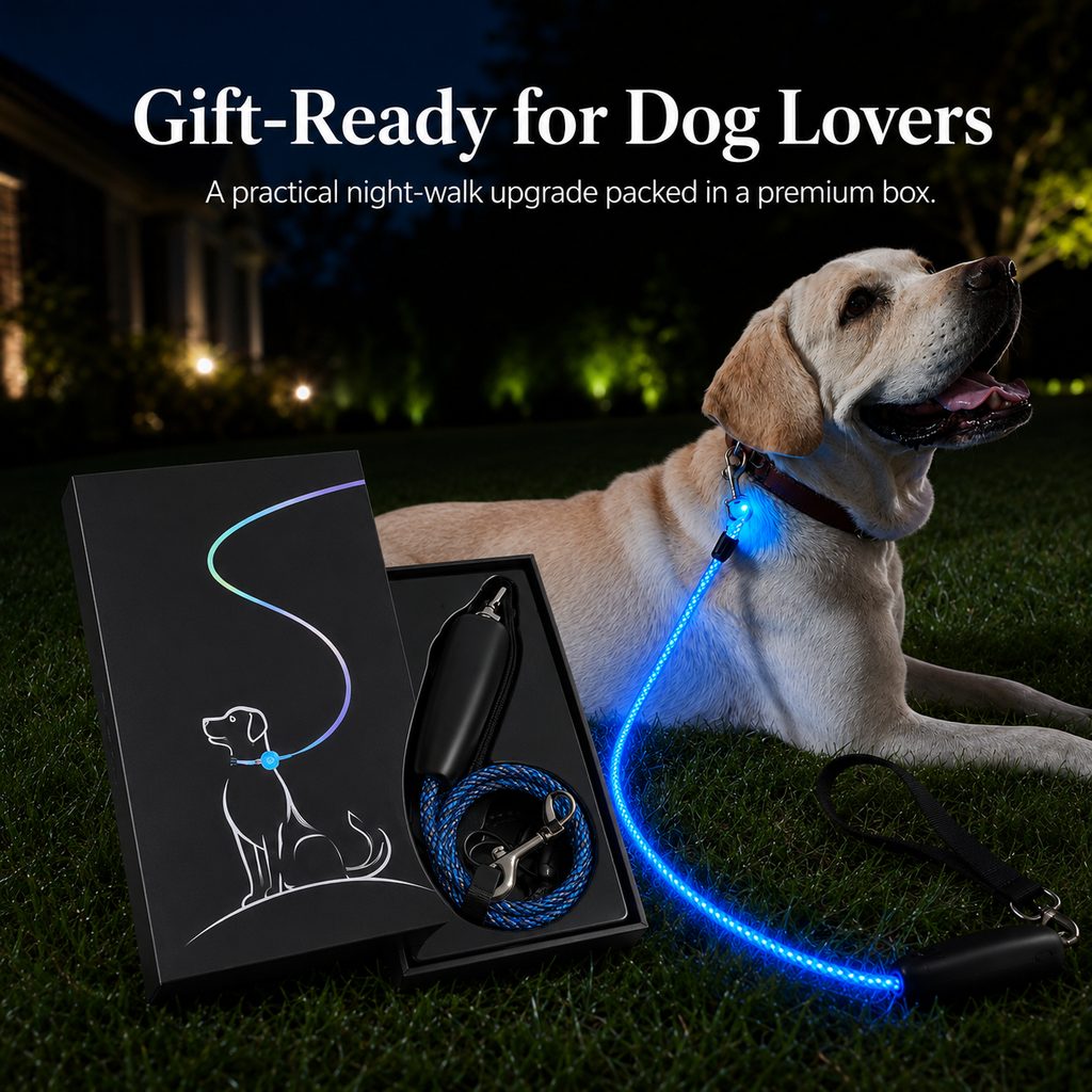 LED Light-Up Dog Leash – Rechargeable Night Safety