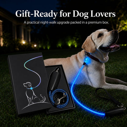 LED Light-Up Dog Leash – Rechargeable Night Safety