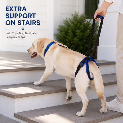 Dog Rear Lift Harness – Hind Leg Support