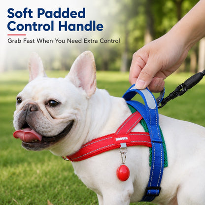 No-Choke Frenchie Harness & Leash Set – Reflective Control