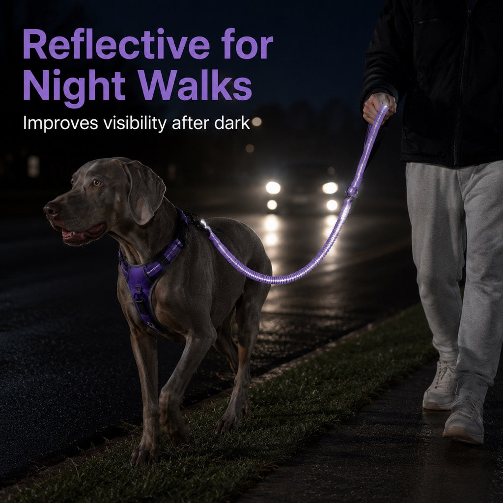 Dog Car Seat Belt Leash – Shock-Absorbing Safety
