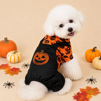 Orange Pumpkin