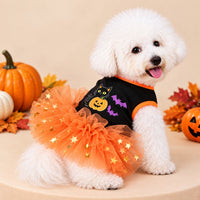 1st Halloween