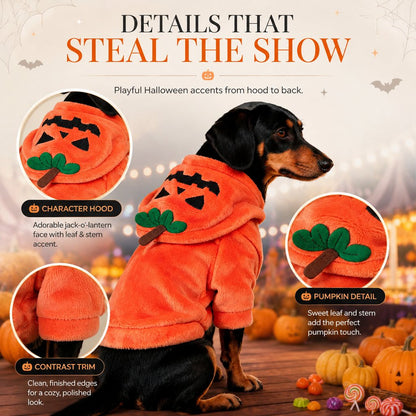 Halloween Pet Costume Hoodie – One-Piece Spooky Look
