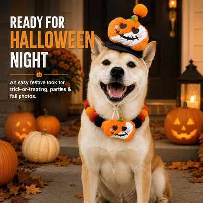 Halloween Pet Hat & Pom-Pom Collar – Easy 2-Piece Costume