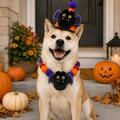 Halloween Pet Hat & Pom-Pom Collar – Easy 2-Piece Costume