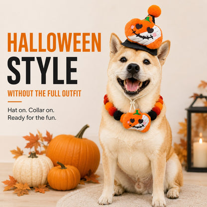 Halloween Pet Hat & Pom-Pom Collar – Easy 2-Piece Costume