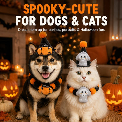 Halloween Pet Hat & Pom-Pom Collar – Easy 2-Piece Costume