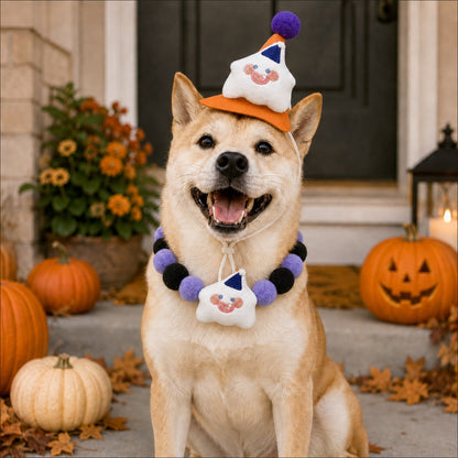 Halloween Pet Hat & Pom-Pom Collar – Easy 2-Piece Costume