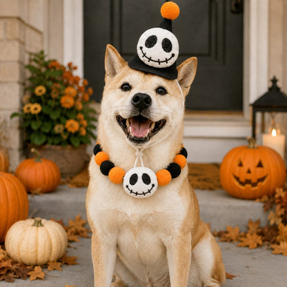 Halloween Pet Hat & Pom-Pom Collar – Easy 2-Piece Costume