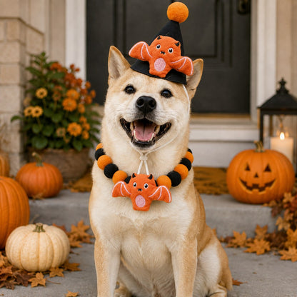 Halloween Pet Hat & Pom-Pom Collar – Easy 2-Piece Costume