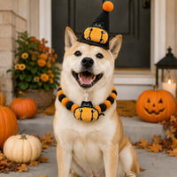 Pumpkin Black Cat