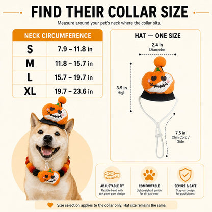 Halloween Pet Hat & Pom-Pom Collar – Easy 2-Piece Costume