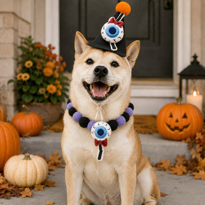 Halloween Pet Hat & Pom-Pom Collar – Easy 2-Piece Costume