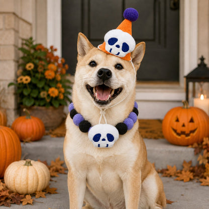 Halloween Pet Hat & Pom-Pom Collar – Easy 2-Piece Costume