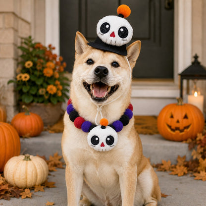 Halloween Pet Hat & Pom-Pom Collar – Easy 2-Piece Costume