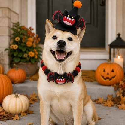 Halloween Pet Hat & Pom-Pom Collar – Easy 2-Piece Costume
