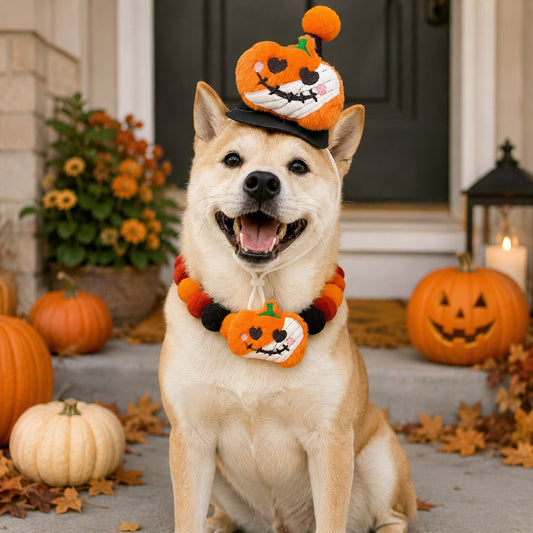Halloween Pet Hat & Pom-Pom Collar – Easy 2-Piece Costume
