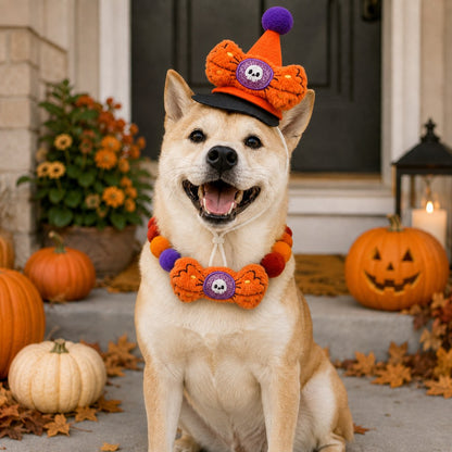 Halloween Pet Hat & Pom-Pom Collar – Easy 2-Piece Costume