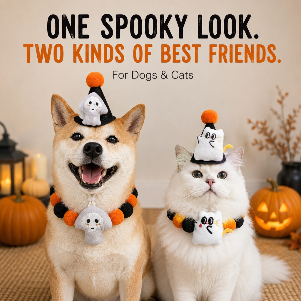 Halloween Pet Hat & Pom-Pom Collar – Easy 2-Piece Costume