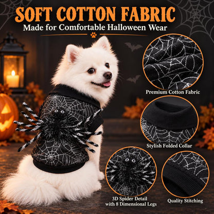 Spider Web Dog Costume – 3D Spider