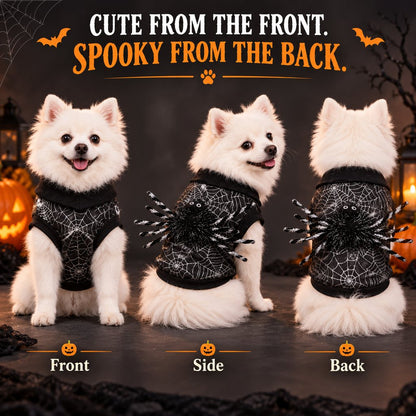 Spider Web Dog Costume – 3D Spider