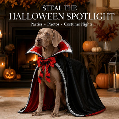Dracula Dog Cape – Stand-Up Collar Costume