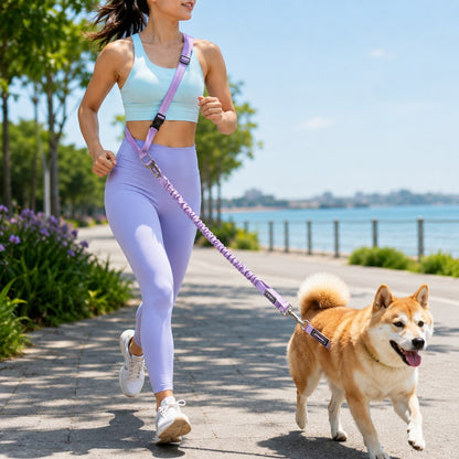 Hands-Free Bungee Dog Leash – Less Pulling on Runs