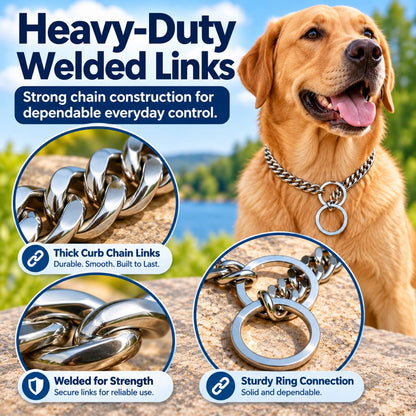 Stainless Steel Slip Chain Dog Collar – Smooth Training